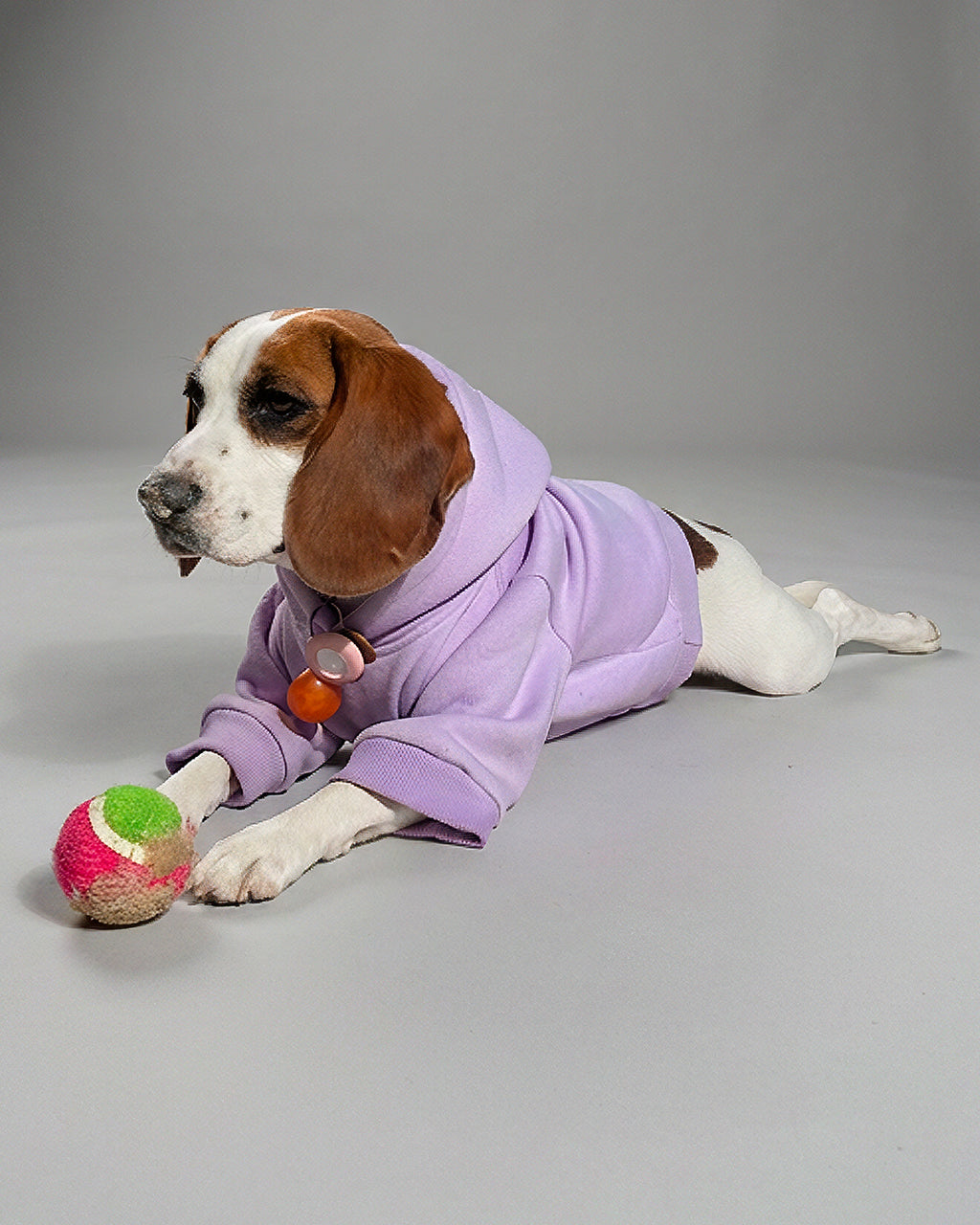 Lilac Cozy Paw Hoodie