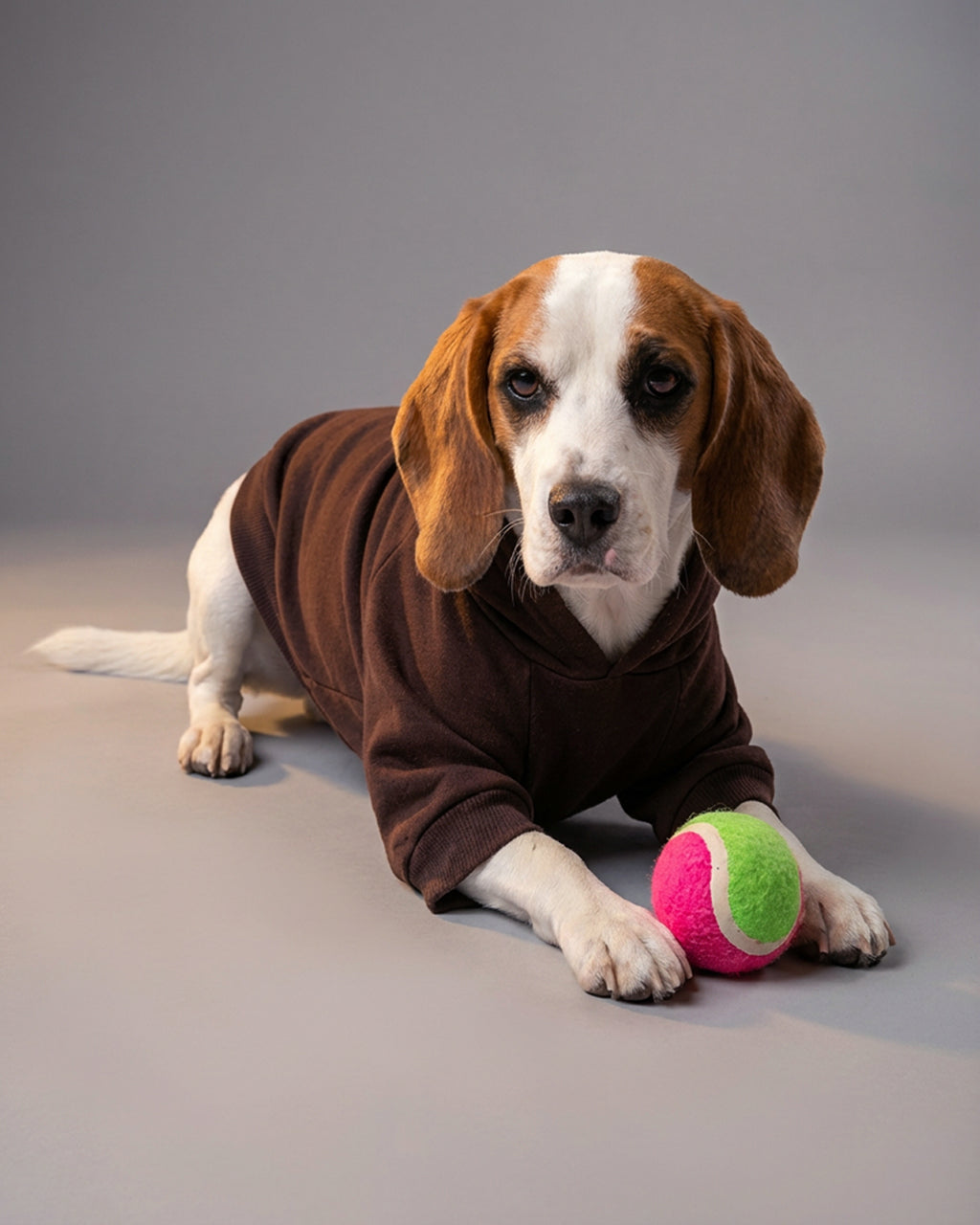 Brown Cozy Paw Hoddie