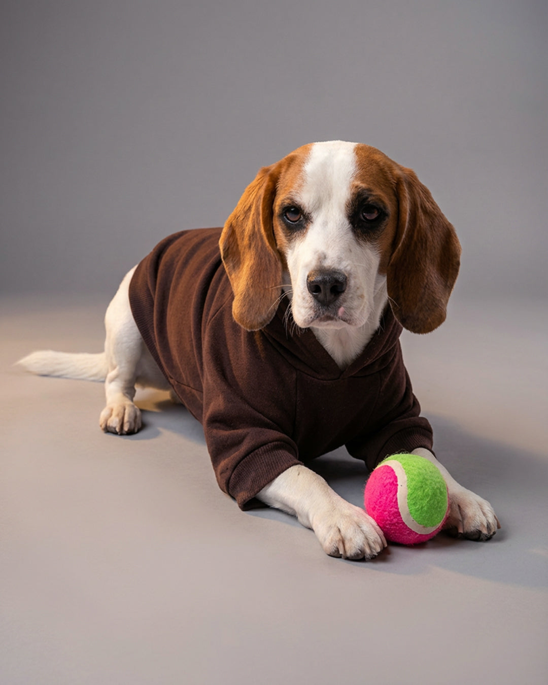 Brown Cozy Paw Hoddie